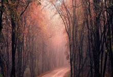 ecmarkets安盈官网真实账户怎么注册？