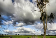 ecmarkets安盈官网模拟账户怎么开？