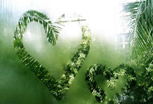 ecmarkets安盈官网忘记密码怎么办？