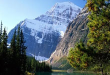 ecmarkets安盈官网如何修改密码？